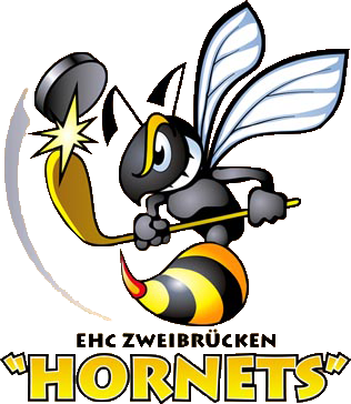 hornets-logo